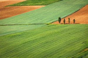 polițe de asigurări agricole
