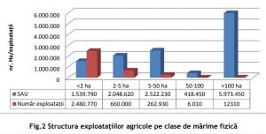 Grafic