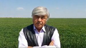 Dimitrie Muscă, CAI Curtici